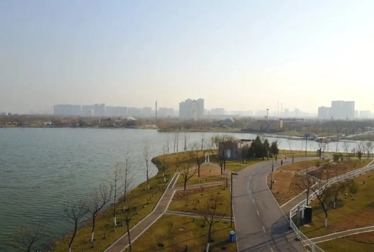 一个赌狗的内心独白